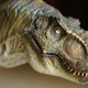Maqueta del T-rex diseñado para Jurassic Park. Foto: Jurassic Wiki.